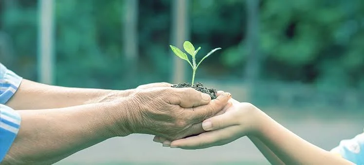 meio ambiente timóteo